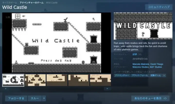 Wild Castle